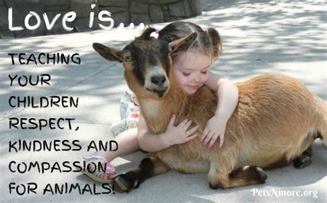 Compassion and Responsibility for Animals .
